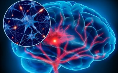 SENSOR CEREBRAL DE ESTRÉS PERMITIRÍA ELABORAR FÁRMACO CONTRA EL ALZHEIMER