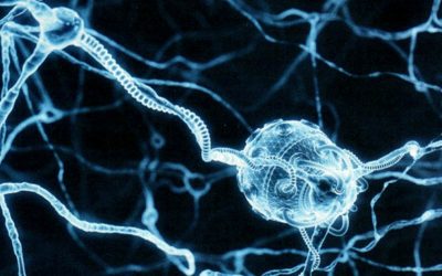 INVESTIGADORA DESARROLLA NANOPARTÍCULAS PARA APLICACIÓN MEDICINAL EN ALZHEIMER