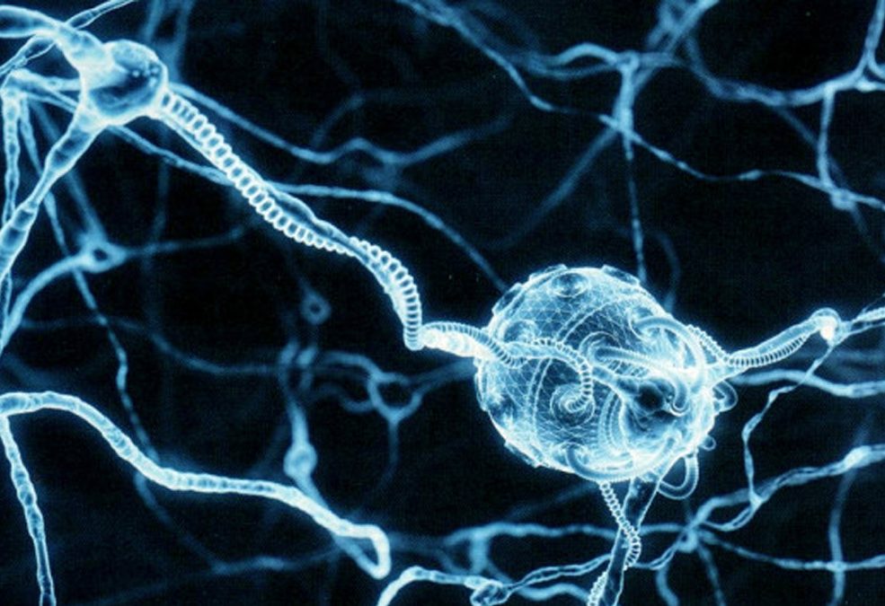 INVESTIGADORA DESARROLLA NANOPARTÍCULAS PARA APLICACIÓN MEDICINAL EN ALZHEIMER