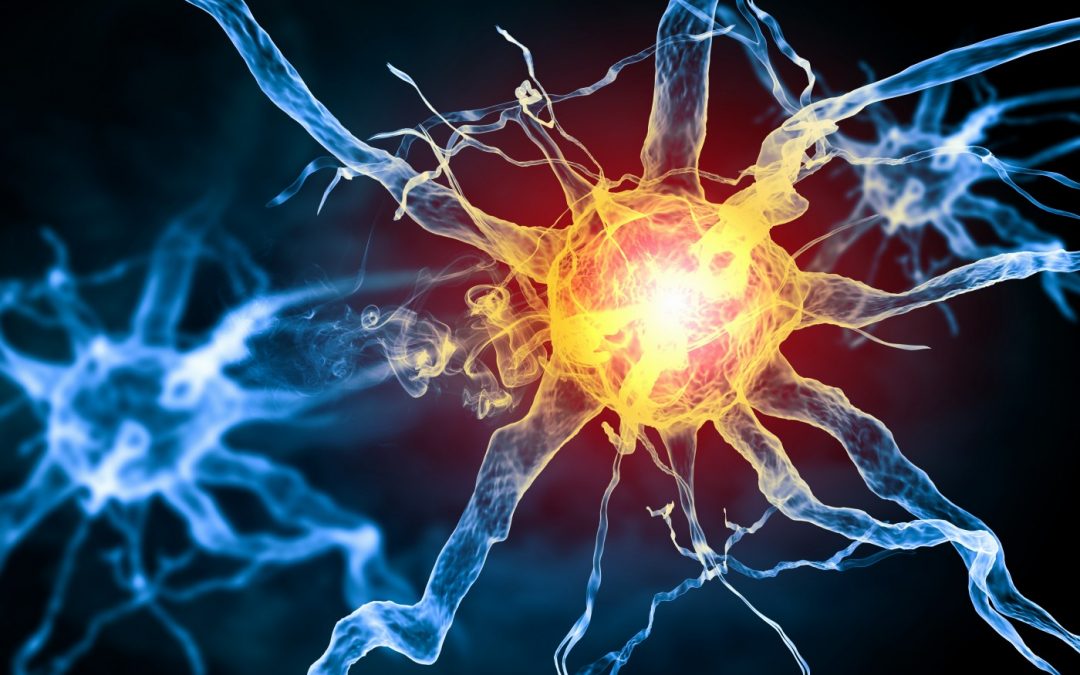 «ABRE EL CAMINO PARA UNA CURA PARA EL ALZHEIMER»: Los detalles de la investigación que lidera un chileno