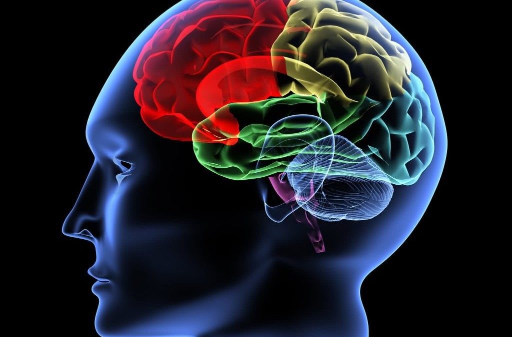 LA ANSIEDAD DAÑA EL CEREBRO Y TRIPLICA EL RIESGO DE DESARROLLAR DEMENCIA