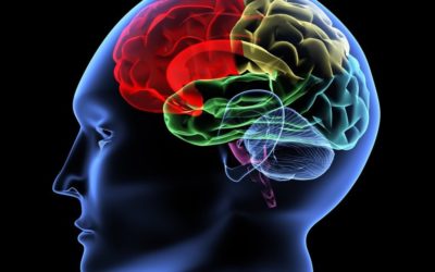 LA ANSIEDAD DAÑA EL CEREBRO Y TRIPLICA EL RIESGO DE DESARROLLAR DEMENCIA