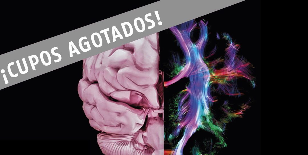 JORNADA INTERNACIONAL DE ACTUALIZACION EN NEUROPSICOLOGIA Y DEMENCIAS