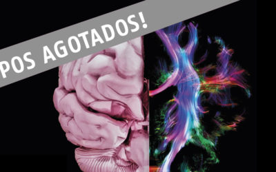 JORNADA INTERNACIONAL DE ACTUALIZACION EN NEUROPSICOLOGIA Y DEMENCIAS