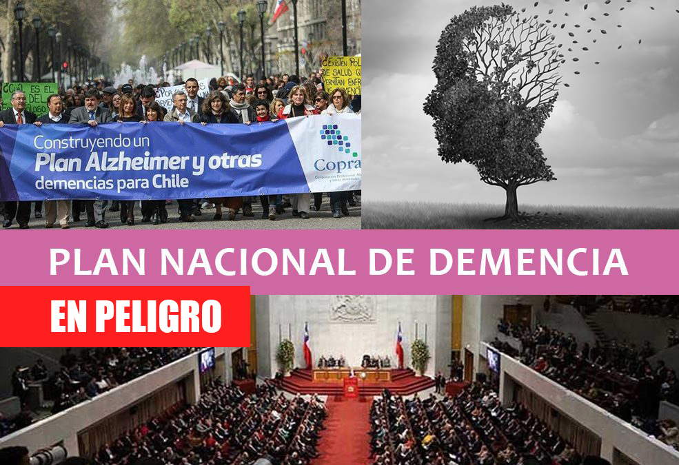 ¿Cómo avanzar sin un plan?: Un Auge despoblado para la Enfermedad de Alzheimer