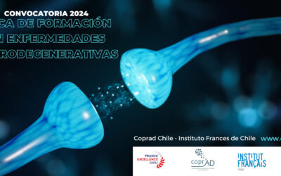 BECA DE FORMACIÓN EN ENFERMEDADES NEURODEGERENATIVAS 2024