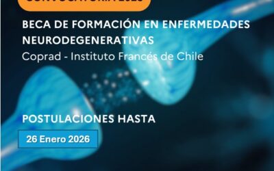 BECA DE FORMACIÓN EN ENFERMEDADES NEURODEGERENATIVAS 2026