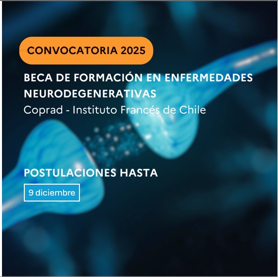 BECA DE FORMACIÓN EN ENFERMEDADES NEURODEGERENATIVAS 2026